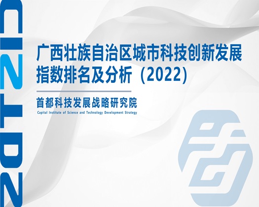 男人操BBAV【成果发布】广西壮族自治区城市科技创新发展指数排名及分析（2022）